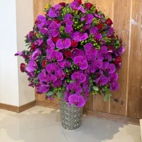 گل طبیعی ارکیده