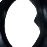 نوارنیسان
