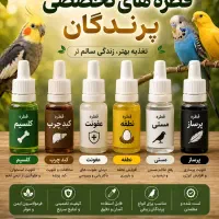 قطره تخصصی پرندگان. سهره طوطی کبوتر عروس هلندی‌و..