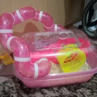 قفس مخصوص همستر طرح جزیره با همه لوازم نگهداری