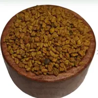 بذر