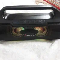 اسپیر بیکارو beecaro