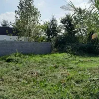 فروش۲۲۰متر/زمین مسکونی/ویوشالیزار/برجاده/سنددار