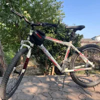 دوچرخه کوهستان ویوا اصل