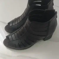 کفش|کیف، کفش، کمربند|رشت, تازه آباد|دیوار