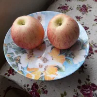 میوه وتره بار