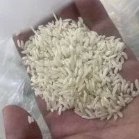 برنج درجه یک درود