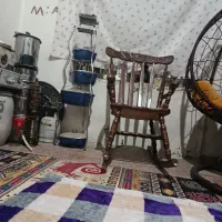 همخونه