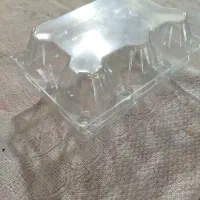 شانه طلقی شش عددی تخم مرغ