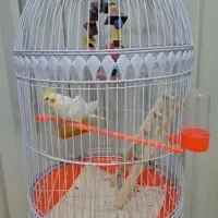 قفس ( بدون پرنده )