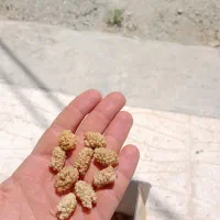 توت خشک