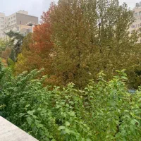 کلاک 1100 متر انشعابات