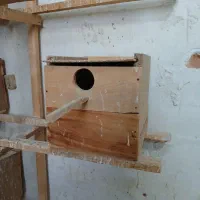 سلام تعداد۲۰لانه فنج