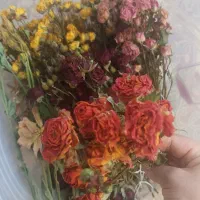 گل طبیعی خشک شده مناسب رزین