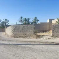 زمین دالکی موقعیت خوب