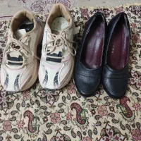 کفش|کیف، کفش، کمربند|شیراز, گلکوب|دیوار