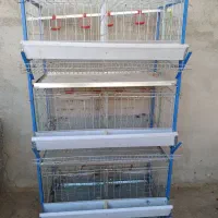 قفس مرغ تخمگذار