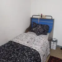 هم خونه اقا