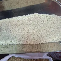 کنجد