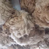 پشم گوسفندی