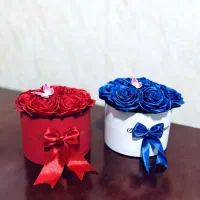 گل رز|گل مصنوعی|فردیس, فردیس|دیوار