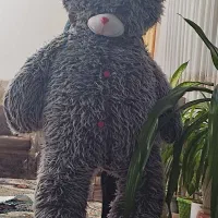 عروسک خرسی بزرگ