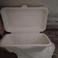 ظرف یکبار مصرف گیاهی
