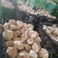 سیر همدان