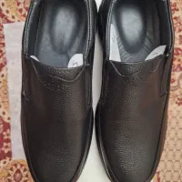کالج مردانه