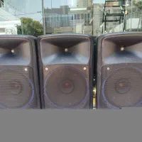اسپیکر15اینچ پسیو فولرنج