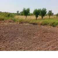 5000متر زمین کشاورزی در قراملک