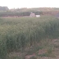 زمین برای باغ