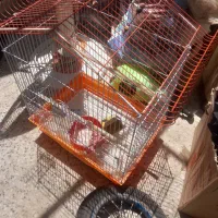 قفس فلزی پرنده