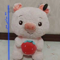 عروسک خوک نو نو