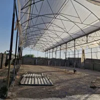گلخانه