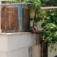کولر ابی