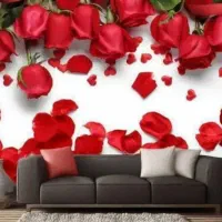 نصب حرفه ای نصاب کاغذدیواری(چالوس وشهرهای اطراف)