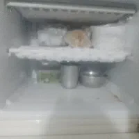 یخچال|یخچال و فریزر|پیشوا, |دیوار
