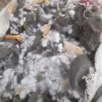 الیاف مخلوط درجه یک