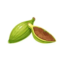 هیل سبز|خوردنی و آشامیدنی|دهلران, |دیوار