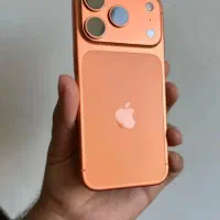 17pro