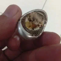 انگشتر نقره با نگین شجر