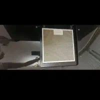 هود|هود|پرند, فاز ۶|دیوار