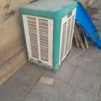 کولرابی ۳۵۰۰ازمایش