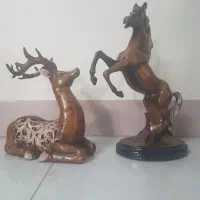 اسب و اهوی پلی استر