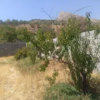 فروش فوری زمین دشت ارژن