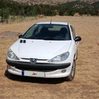 206 جعبه دار V20