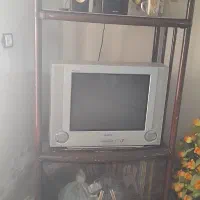 تلویزیون