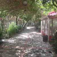 آشپز تمام وقت و نیمه وقت