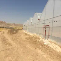 گلخانه